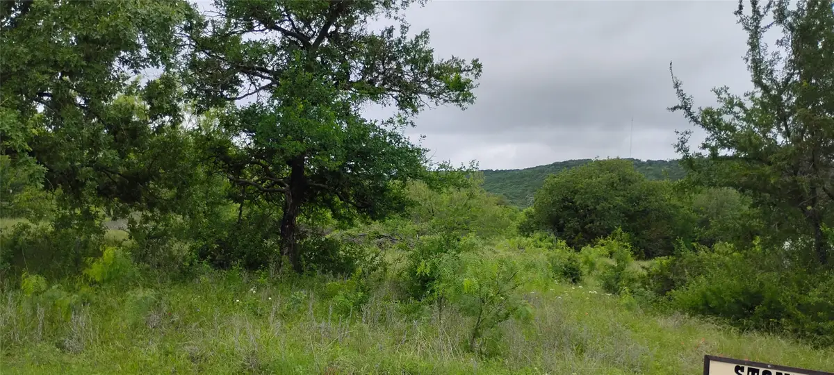 TBD Dunn Drive, Palo Pinto, TX 76484 - #1