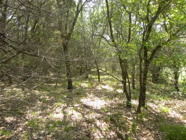 1303 Ash Court, Whitney, TX 76692