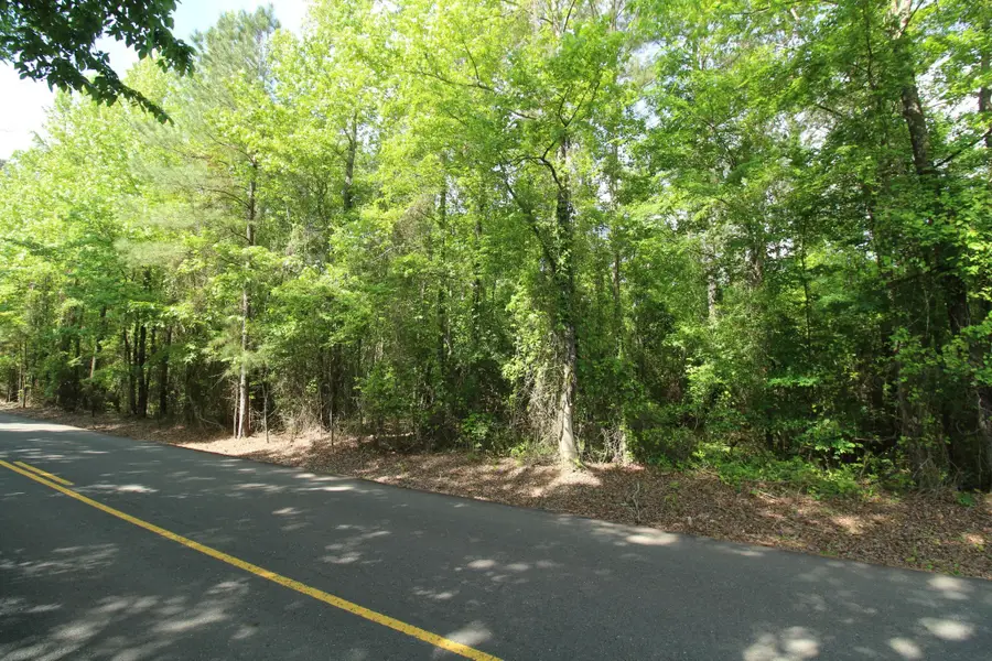 2 Mott Road, Plain Dealing, LA 71064 - #2