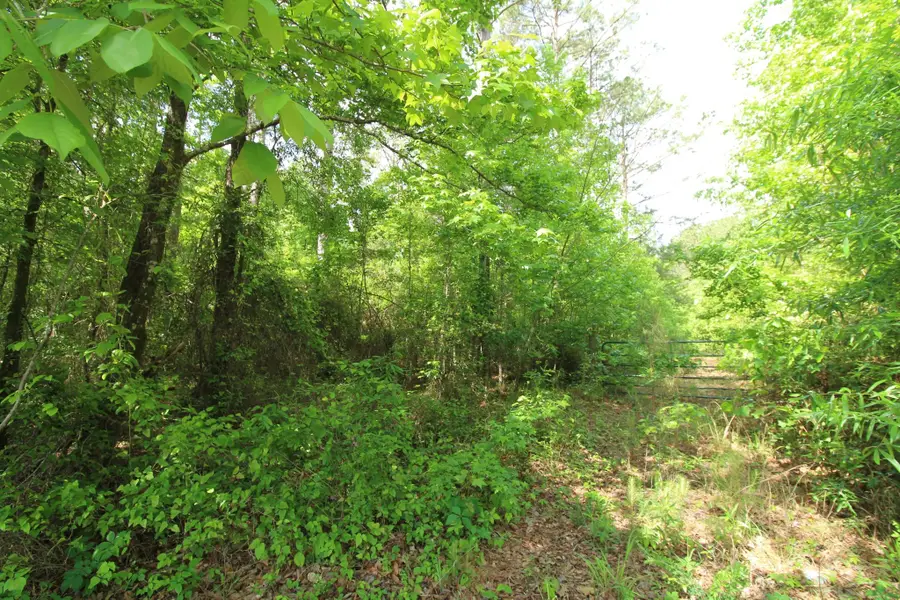 2 Mott Road, Plain Dealing, LA 71064 - #3