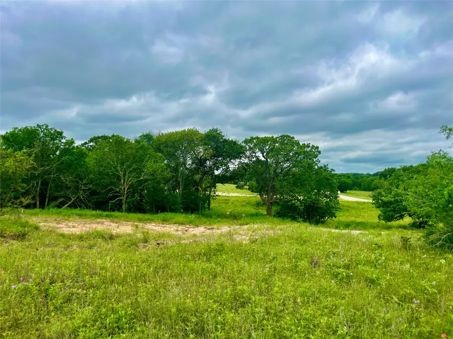Lot 9 Clare Rd, Poolville, TX 76487 - #3