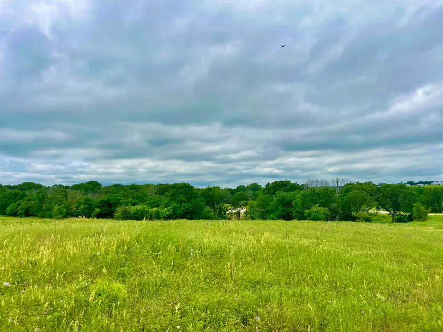 Lot 10 Clare Rd, Poolville, TX 76487 - #2