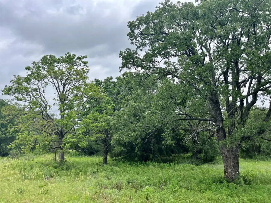 Lot 18 Kilkenny, Poolville, TX 76487 - #2