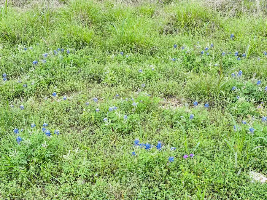 8504 Dornoch Street, Cleburne, TX 76033 - #3