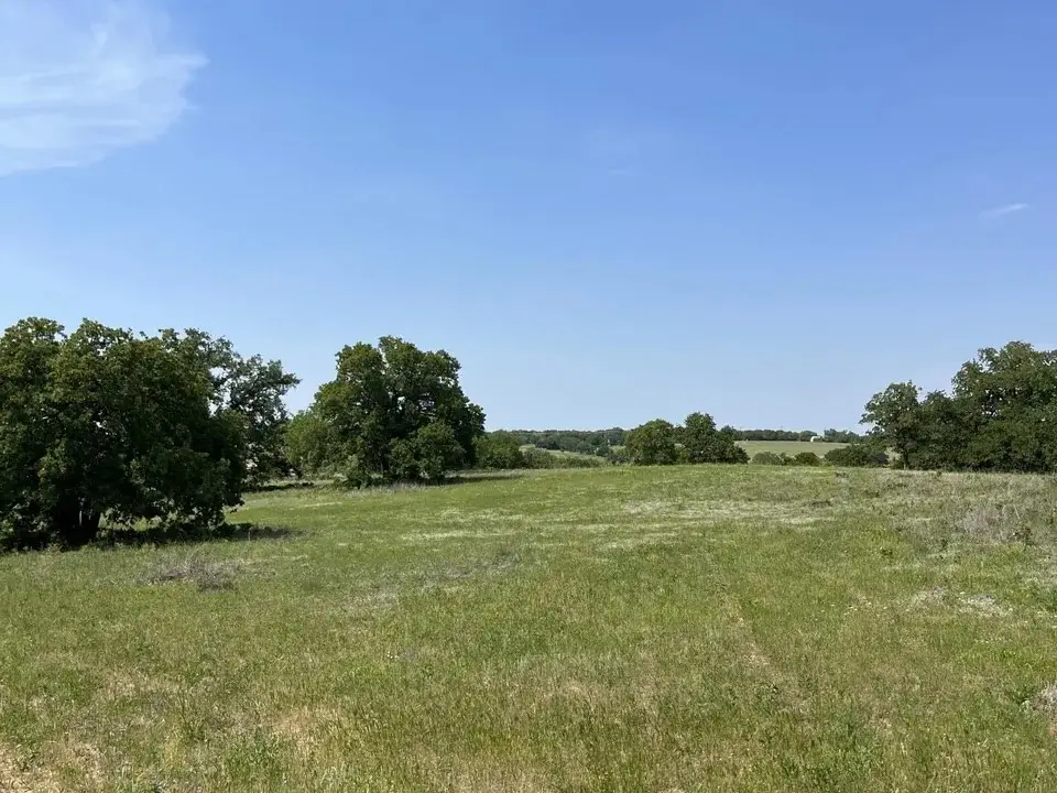 315 Kilkenny, Poolville, TX 76487 - #1