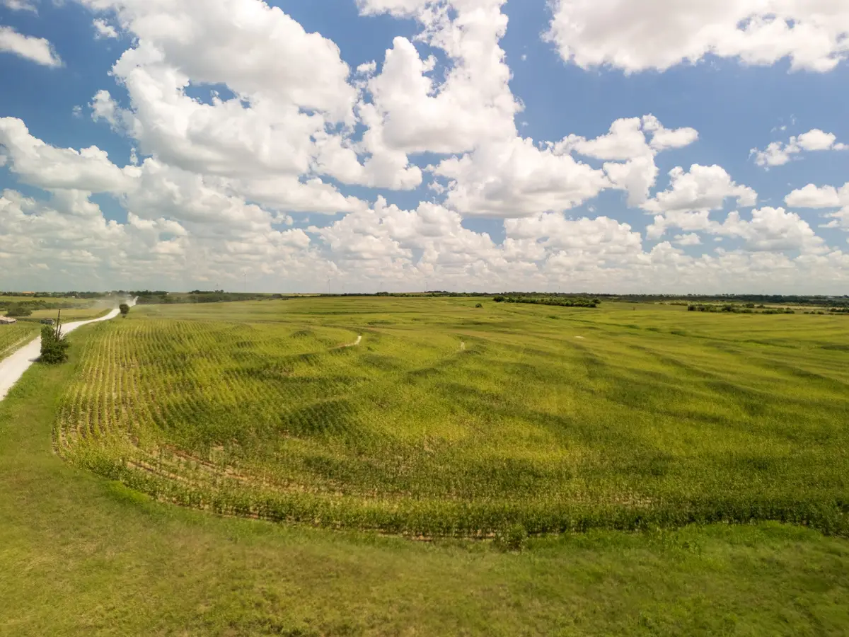 11 Acres | TBD County Rd 3150, Hubbard, TX 76648 - #1