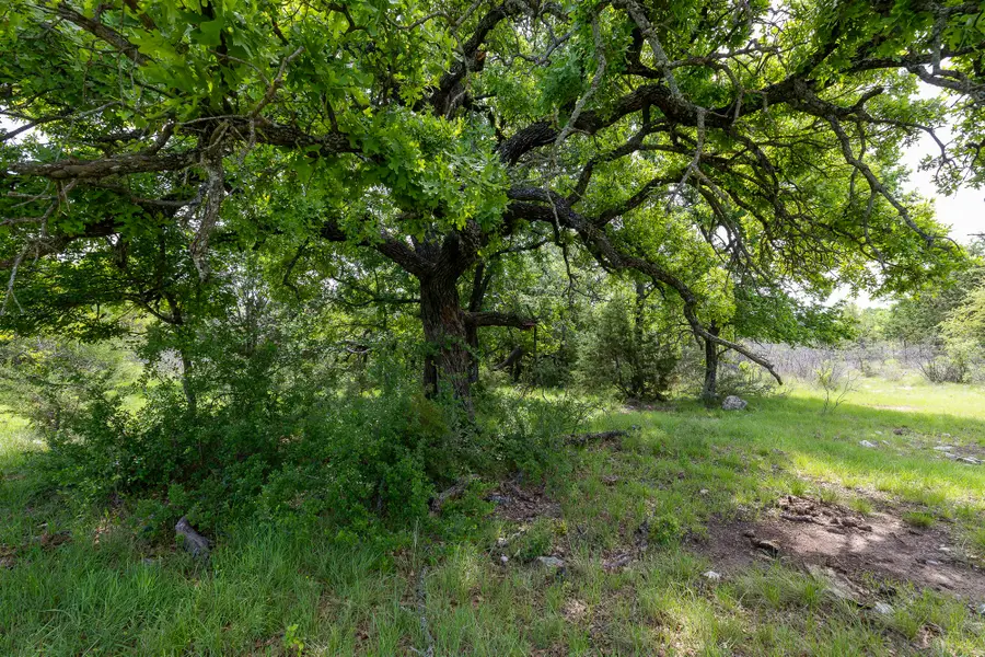 525 Jack Rabbit Circle, Zephyr, TX 76890 - #2