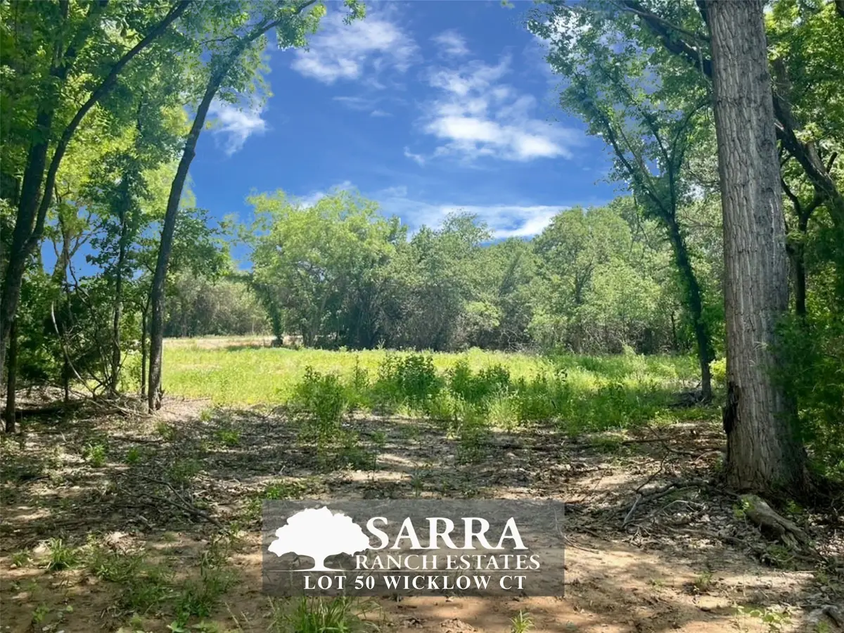 Lot 50 Wicklow Court, Poolville, TX 76487 - #1