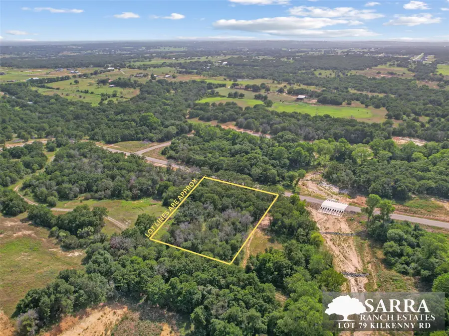Lot 79 Kilkenney Road, Poolville, TX 76487 - #3