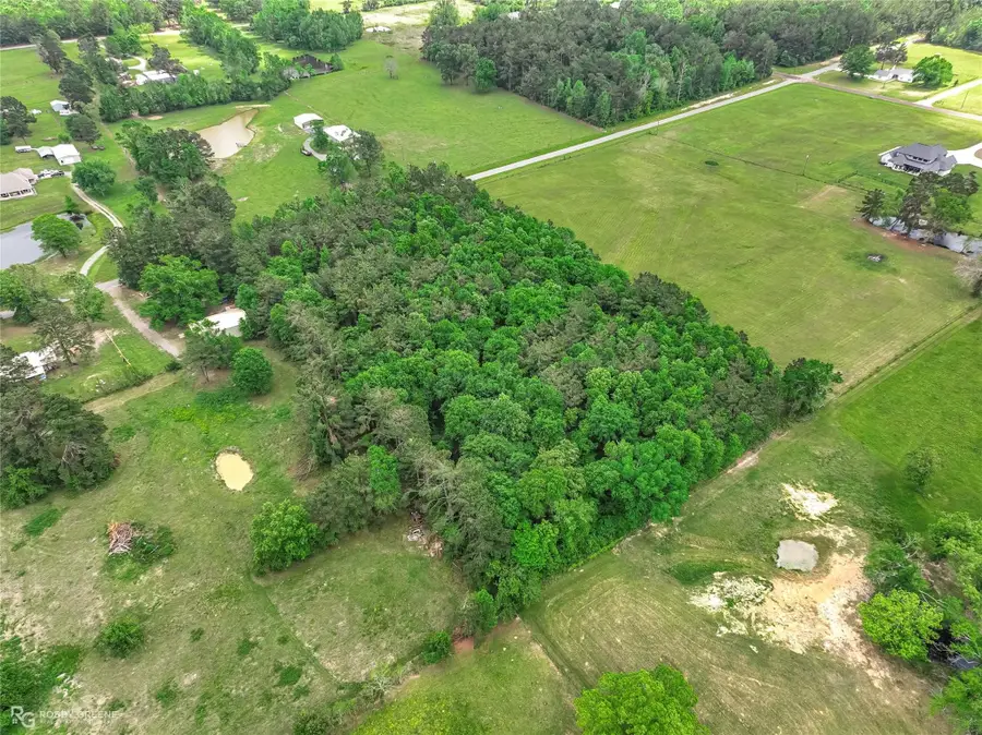 01 Palomino Drive, Grand Cane, LA 71032 - #3