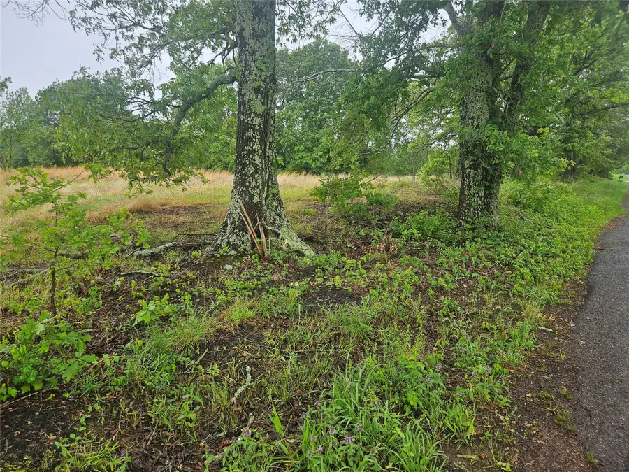 139 Cr 34710, Paris, TX 75460 - #3