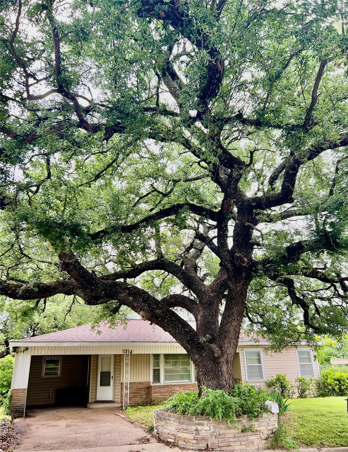 1314 W Water Street, Weatherford, TX 76086 - #1