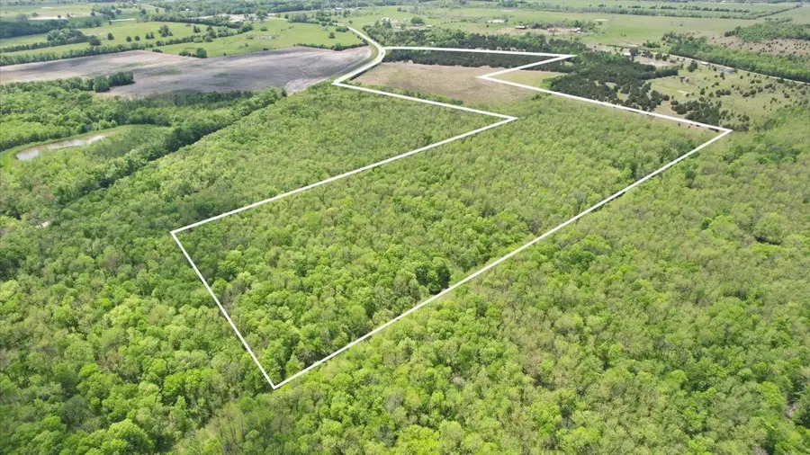 738 Fm 1184, Paris, TX 75460 - #2