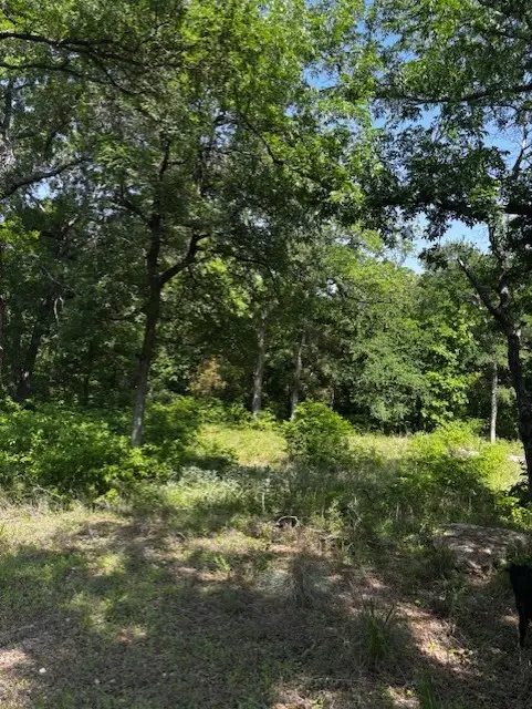 1255 Eagles Bluff Drive, Weatherford, TX 76087