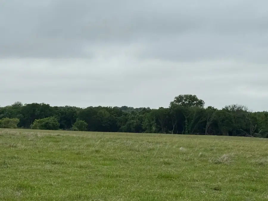 599 Lone Star, Poolville, TX 76487 - #2