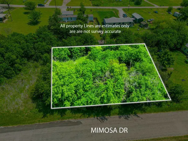 4507 Mimosa Drive, Granbury, TX 76048