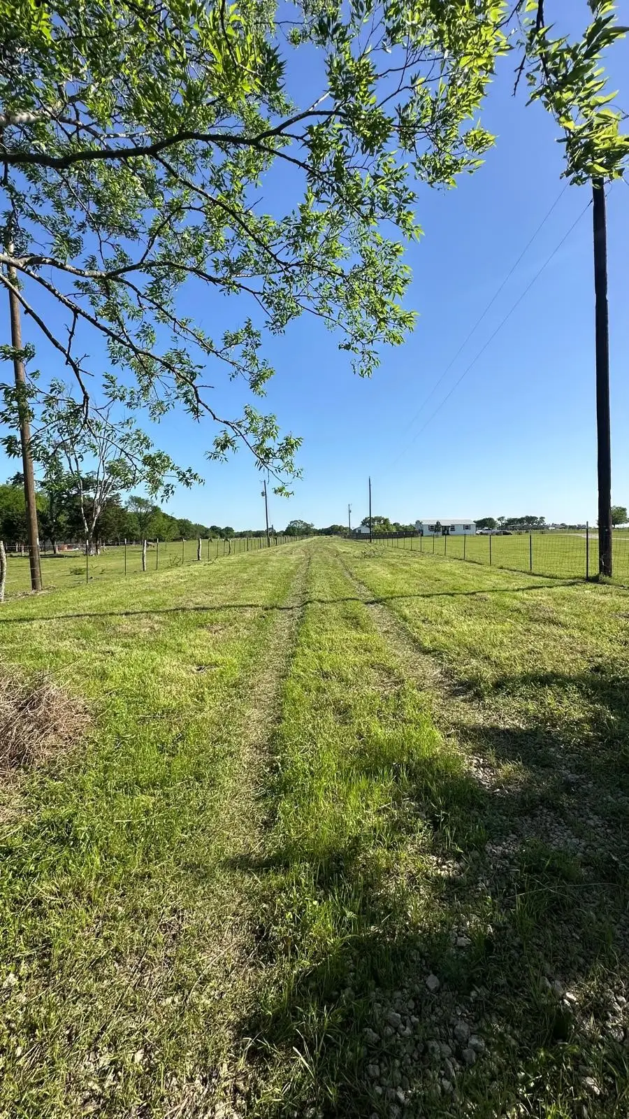 869 County Road 3908, Wills Point, TX 75169 - #3