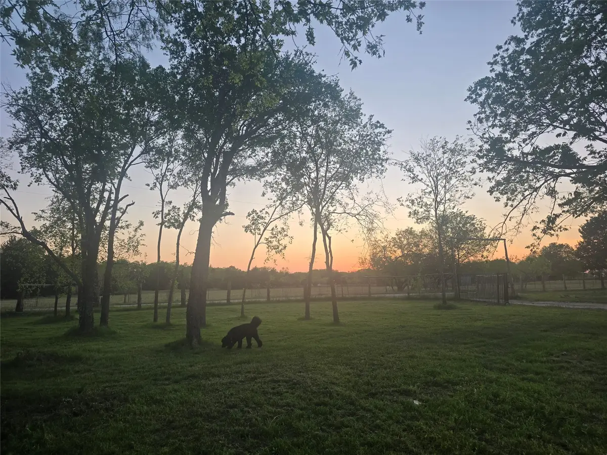 8883 NE County Road 2075, Powell, TX 75153 - #1