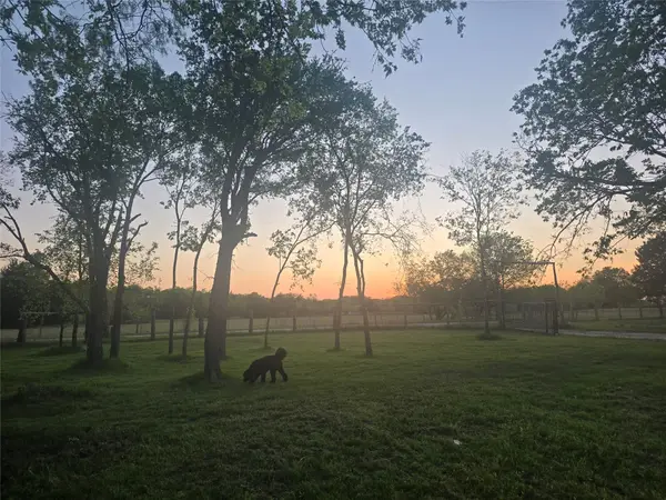 8883 NE County Road 2075, Powell, TX 75153