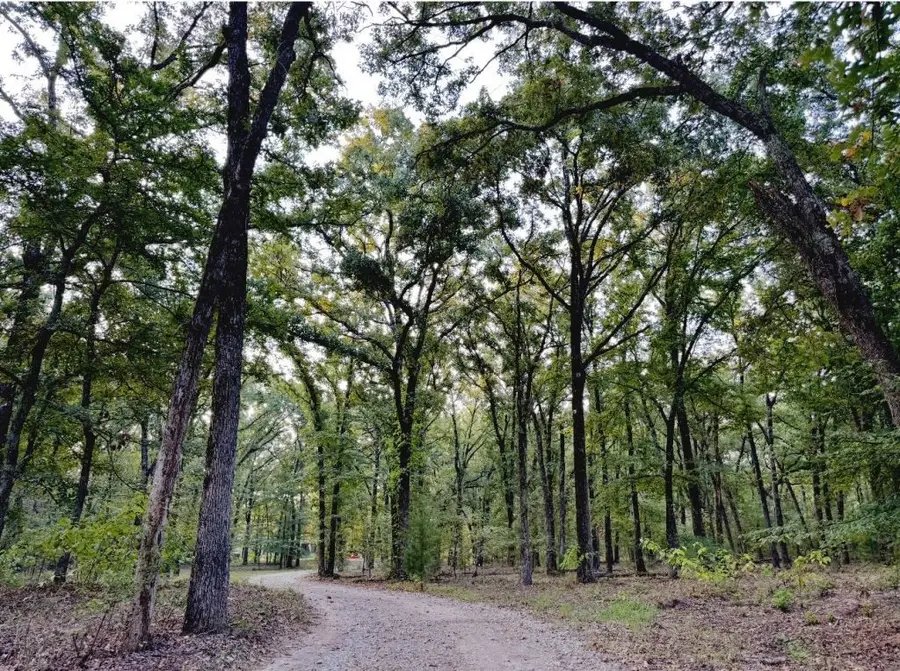 796 Vz County Road 1922, Fruitvale, TX 75127 - #3