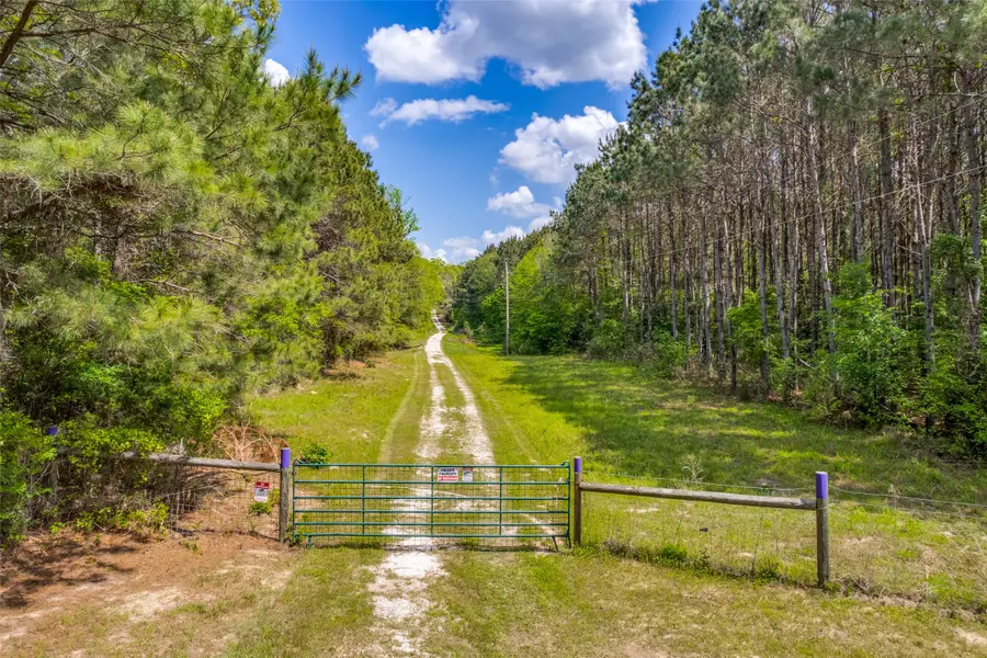 980 County Road 2619, Marietta, TX 75566 - #2