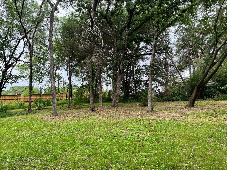 0 Still Water, Gun Barrel City, TX 75156 - #2