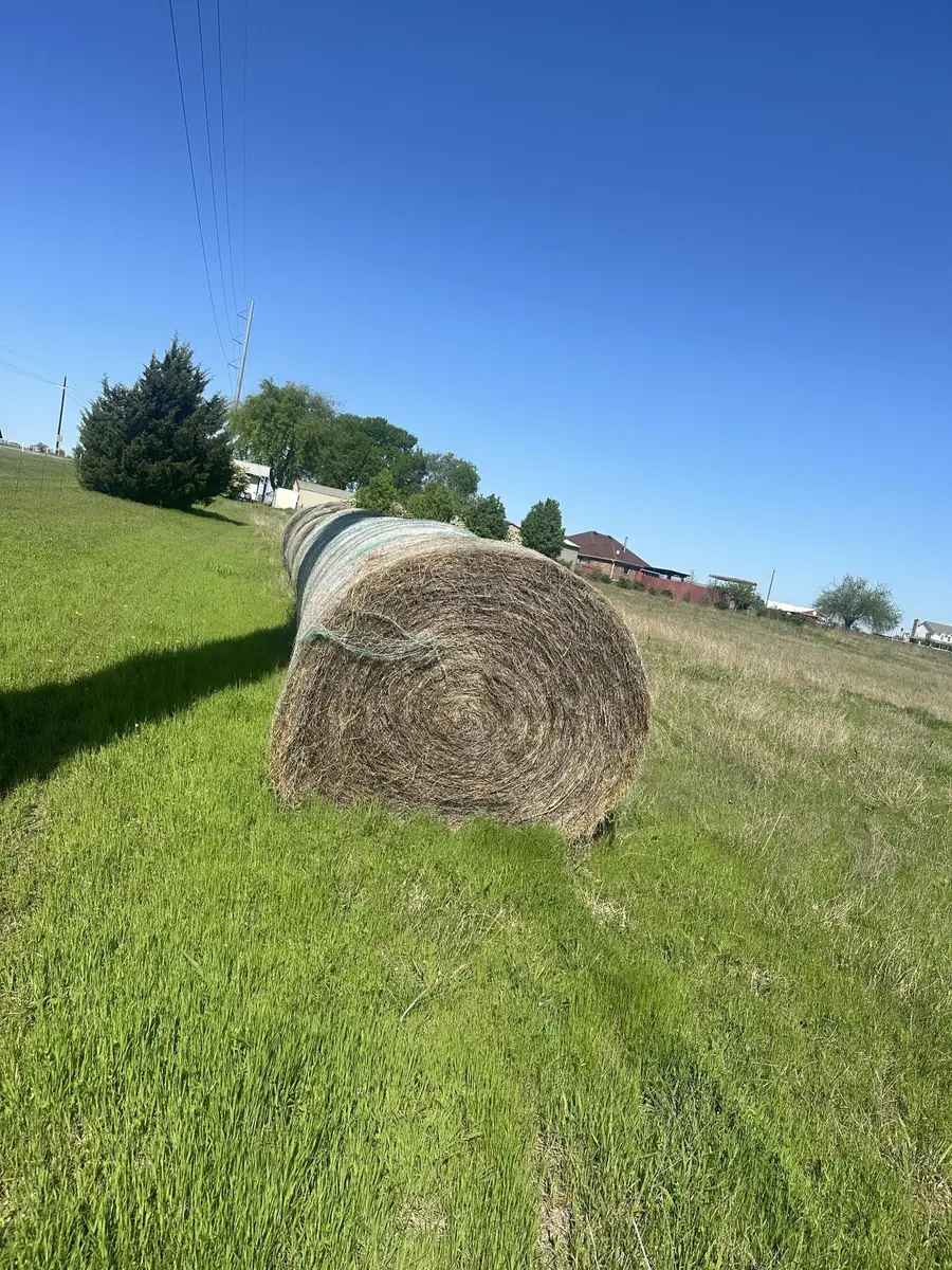 0001 County Road 496, Princeton, TX 75407 - #3