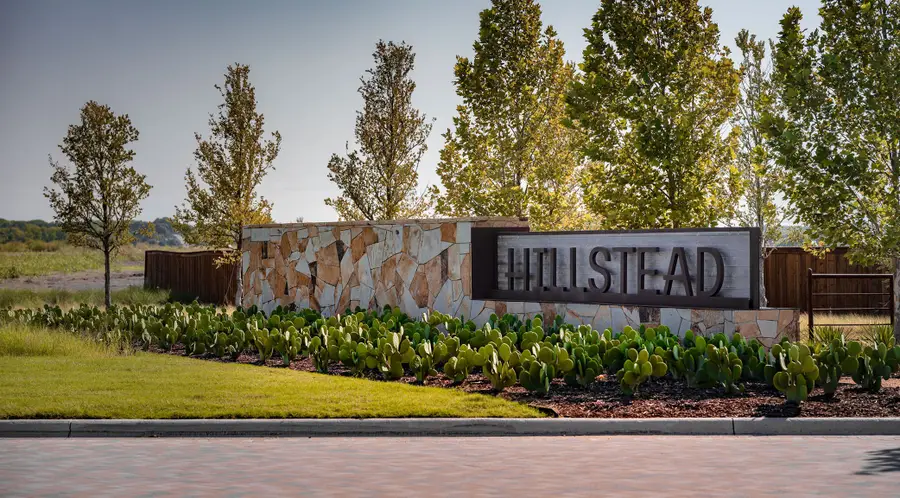 1713 Hillside Stroll Drive, Lavon, TX 75166 - #3