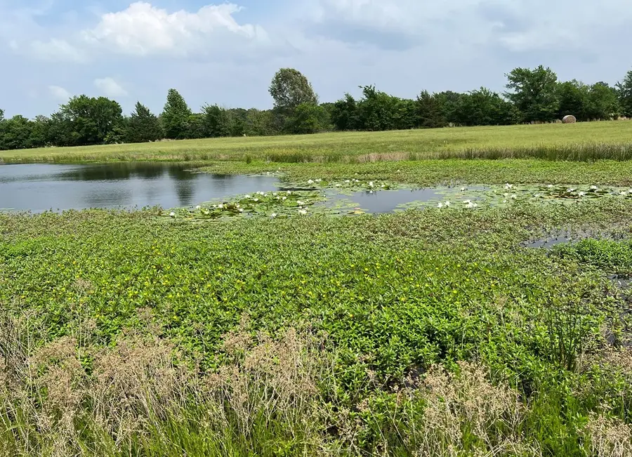 LOT 11 Pr 5291, Yantis, TX 75497 - #3
