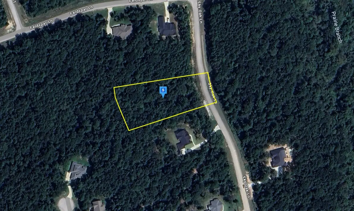 265 Sky Oak Lane, Huntsville, TX 77340 - #1