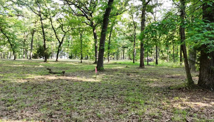 Lot 62 Anchor Point, Quinlan, TX 75474 - #2