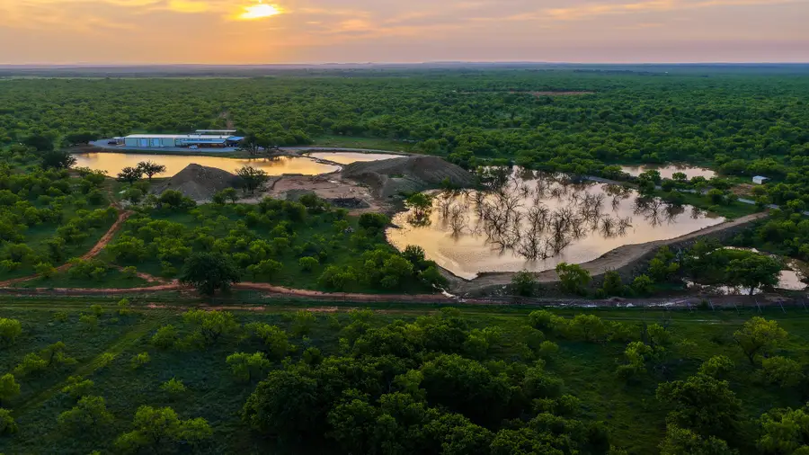 10000 Fm 209, Graham, TX 76450 - #2