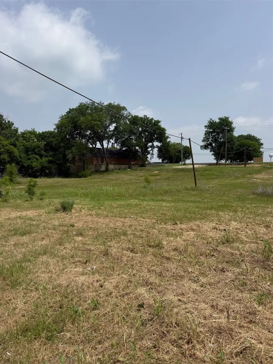 430 N Dallas Street, Palmer, TX 75152 - #3