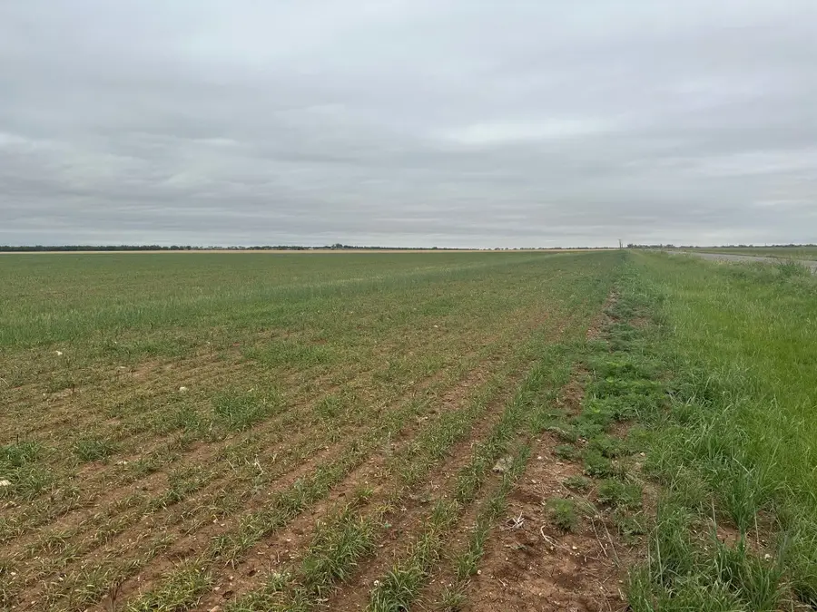 TBD Fm126 ( Tract 1 ), Merkel, TX 79536 - #2