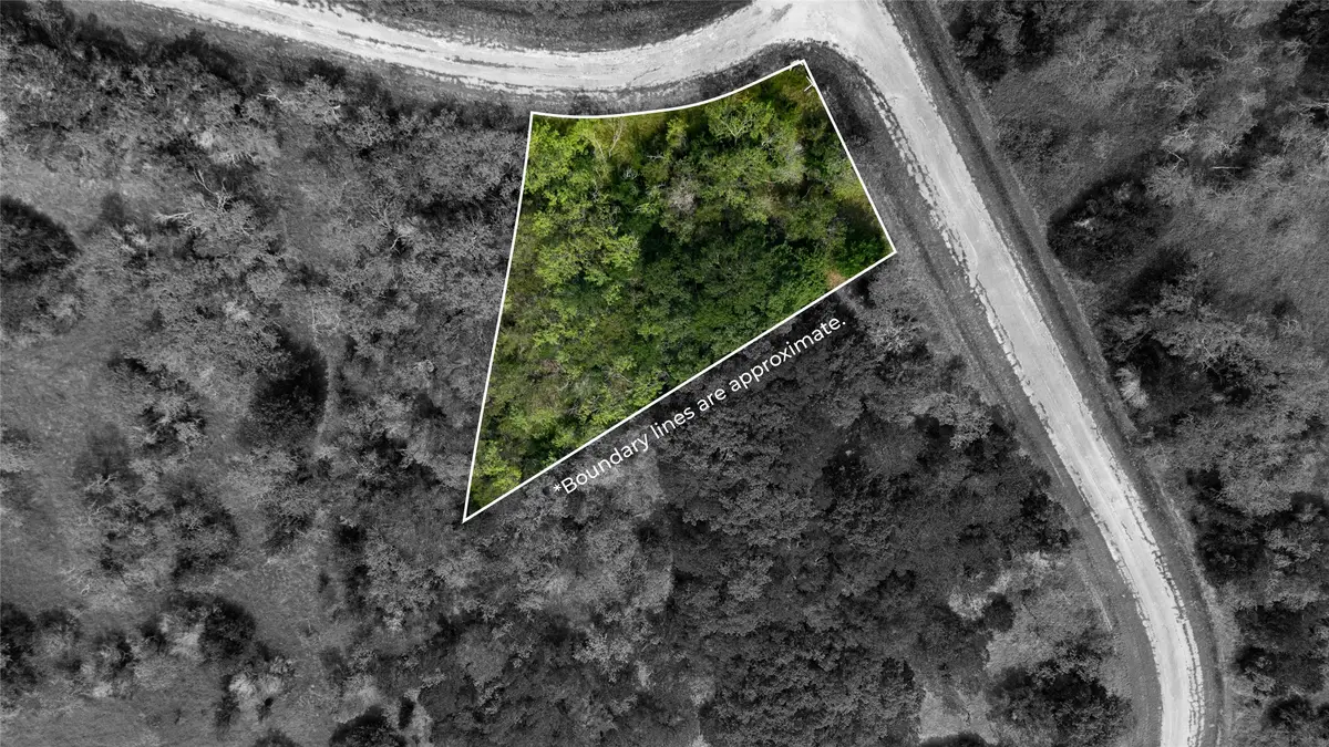 44072 Mountain Sage Drive, Whitney, TX 76692 - #1