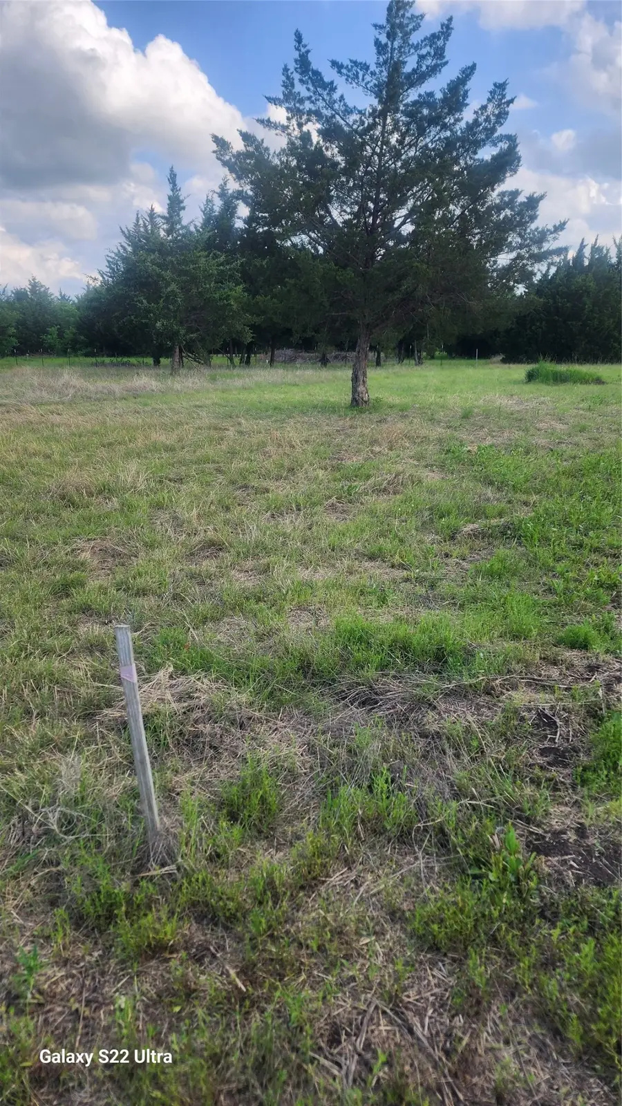 147 W Wood Dell Drive, Glenn Heights, TX 75154 - #2