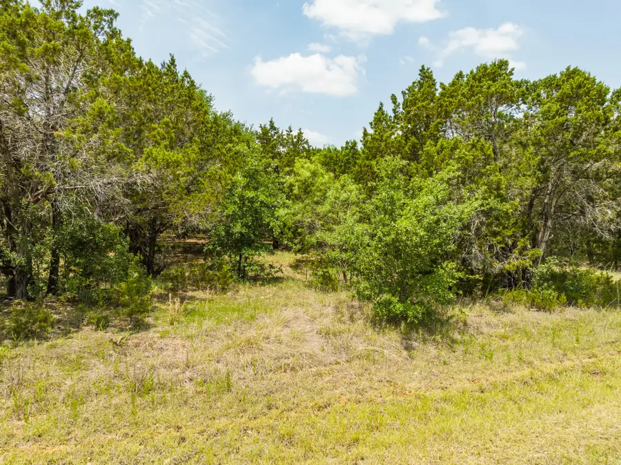 44015 Thistle Court, Whitney, TX 76692 - #2