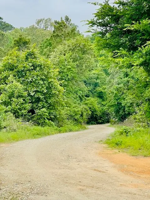 2665 County Road 3940, Mineola, TX 75773 - #2