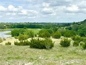 1145 Hidden Cove Trail, Glen Rose, TX 76043 - #1