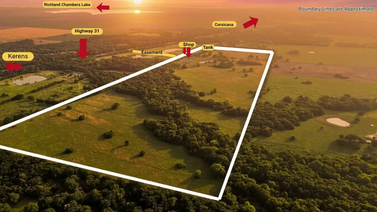 150 +- Acres Highway 31, Kerens, TX 75144 - #1