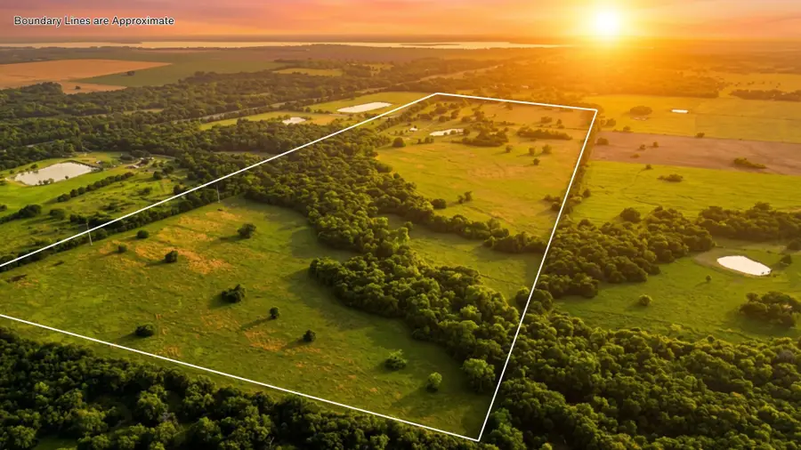 150 +- Acres Highway 31, Kerens, TX 75144 - #2