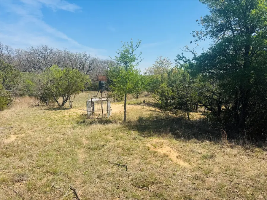 TBD Georgia Pass, Desdemona, TX 76445 - #3