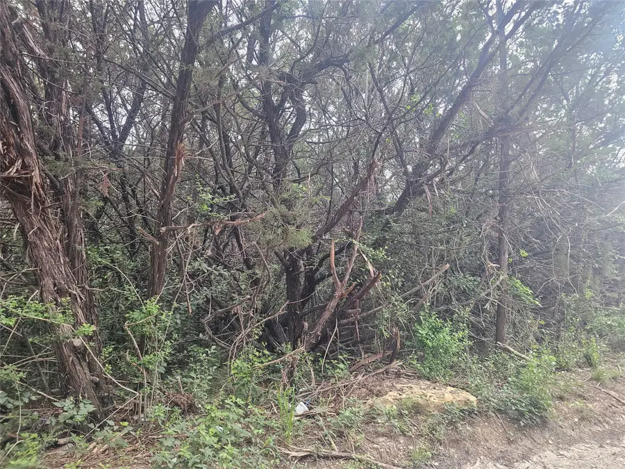 TBT Elm Branch, Whitney, TX 76692 - #2