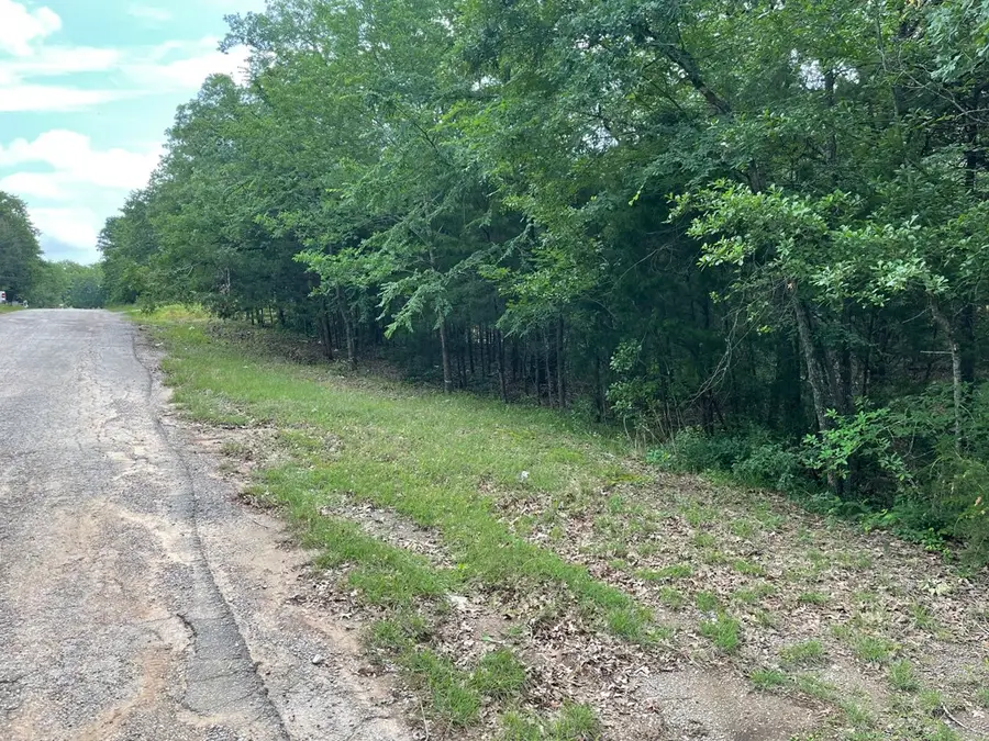 lor # 298 Yuma Drive, Mabank, TX 75156 - #2