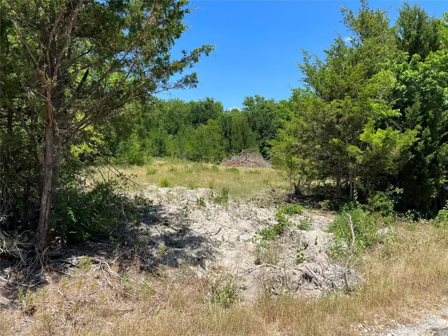 00 Bethel Cannon & Pilot Grove Road, Whitewright, TX 75491 - #2