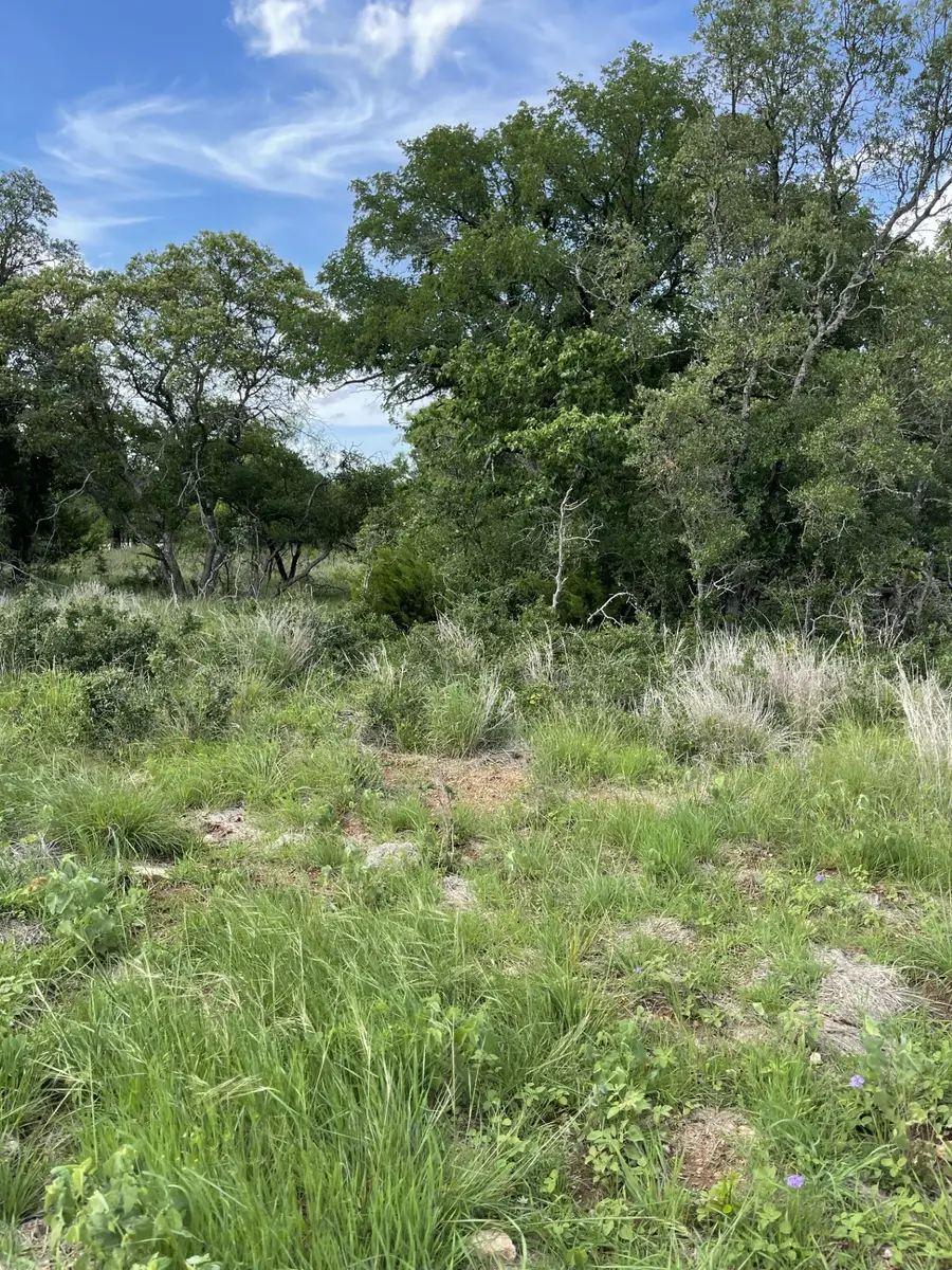 LOT#10 Fm 3021, Brownwood, TX 76801 - #2
