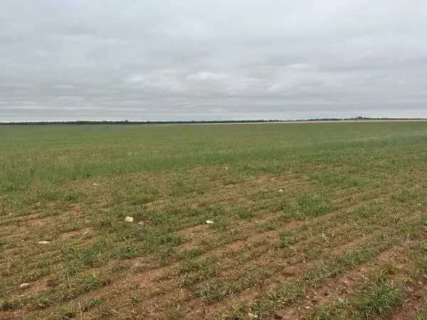 TBD Fm126( Tract 2 ) Merkel, Tx 79536, Merkel, TX 79536