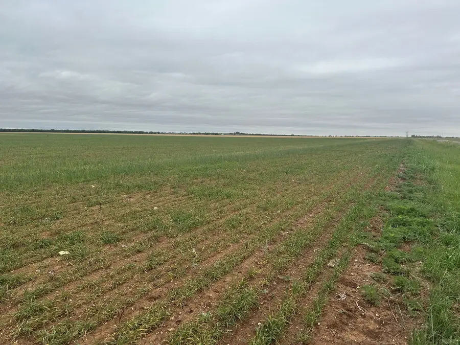 TBD Fm126( Tract 2 ) Merkel, Tx 79536, Merkel, TX 79536 - #3