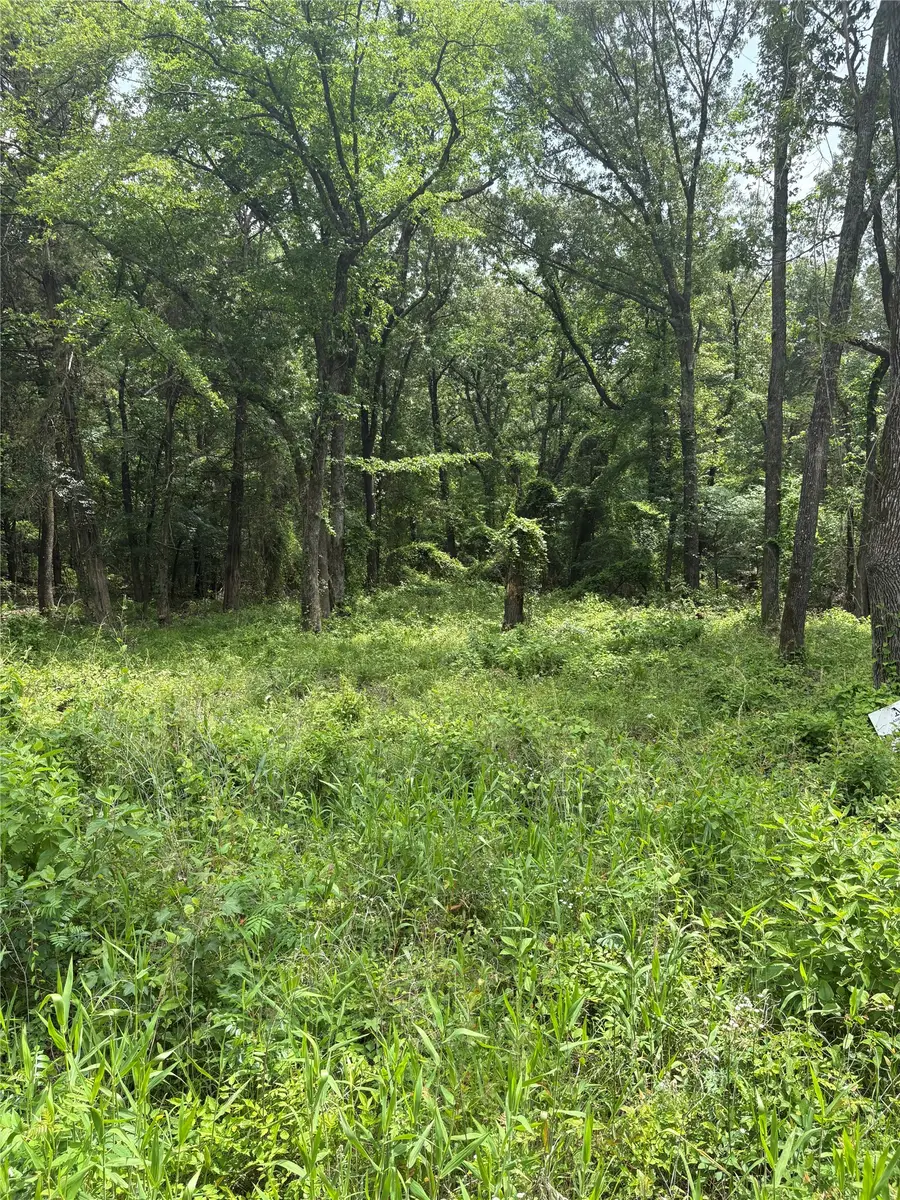 0 County Road 4112, Canton, TX 75103 - #3