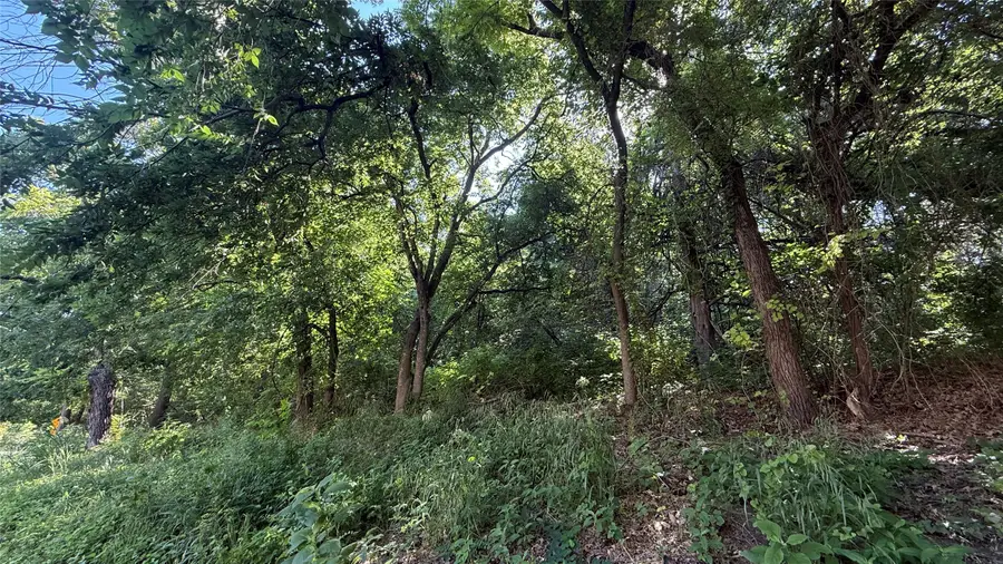 906 Sleepy Hollow Drive, Cedar Hill, TX 75104 - #2